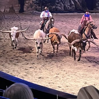 Dolly Parton's Stampede - Longhorns - Performing Arts Near Me - Branson, Missouri
