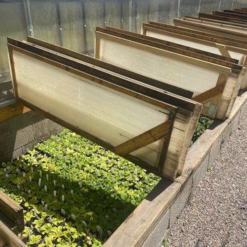 Agua Fria Nursery - Nurseries & Gardening Near Me - Santa Fe, New Mexico Agua Fria Nursery - Nurseries & Gardening Near Me - Santa Fe, New Mexico