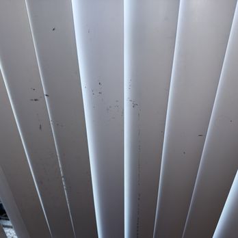Caton House Apartments - Mold on the blinds - Apartments Near Me - Catonsville, Maryland Caton House Apartments - Mold on the blinds - Apartments Near Me - Catonsville, Maryland
