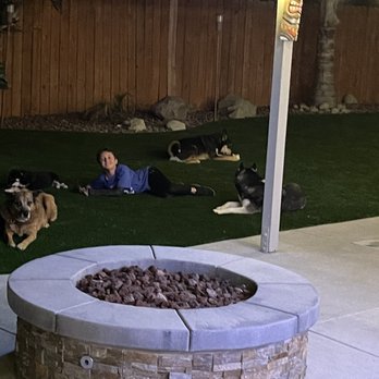Preferred Turf - Loving it - Artificial Turf Near Me Preferred Turf - Loving it - Artificial Turf Near Me