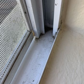 Clear View Window Cleaning - Window Washing Near Me - Solana Beach , California