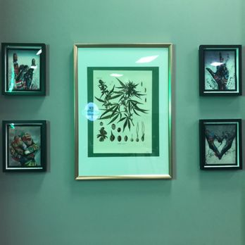 The Cannabis Place - Enjoy our art and science - Cannabis Dispensaries Near Me - Jersey City, New Jersey The Cannabis Place - Enjoy our art and science - Cannabis Dispensaries Near Me - Jersey City, New Jersey