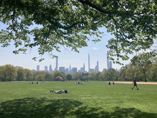 The Great Lawn by null