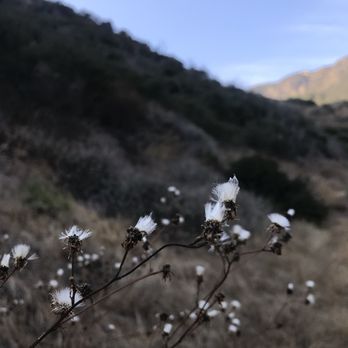 Solstice Canyon - Parks Near Me - Malibu, California