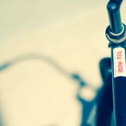 Toes On The Nose - Best bikes around!