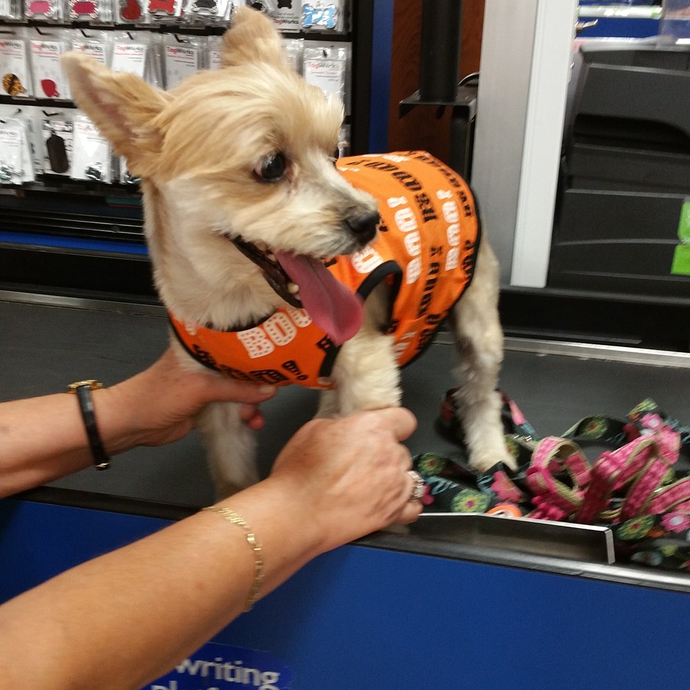 PetSmart - Pet Training Near Me - Miami, Florida