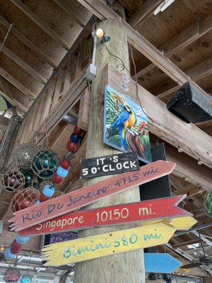 landshark beach cruiser