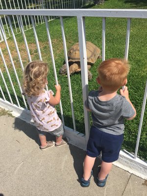 Nanny's Place by null