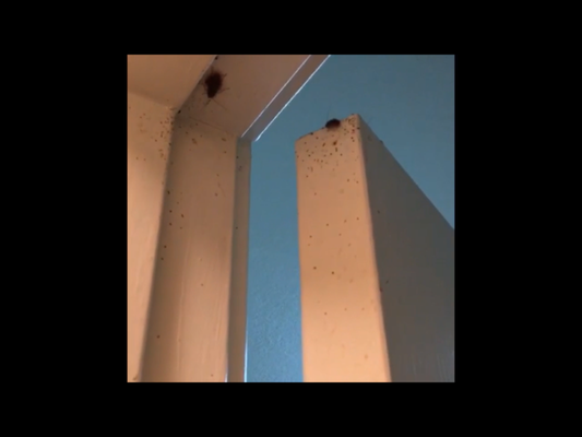 Hideaway Gainesville by null