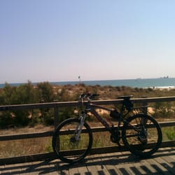 Platja de l'Albre del Gos