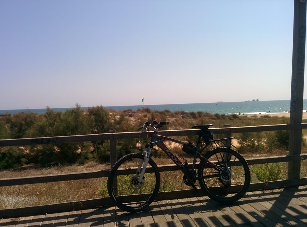 Platja de l'Albre del Gos