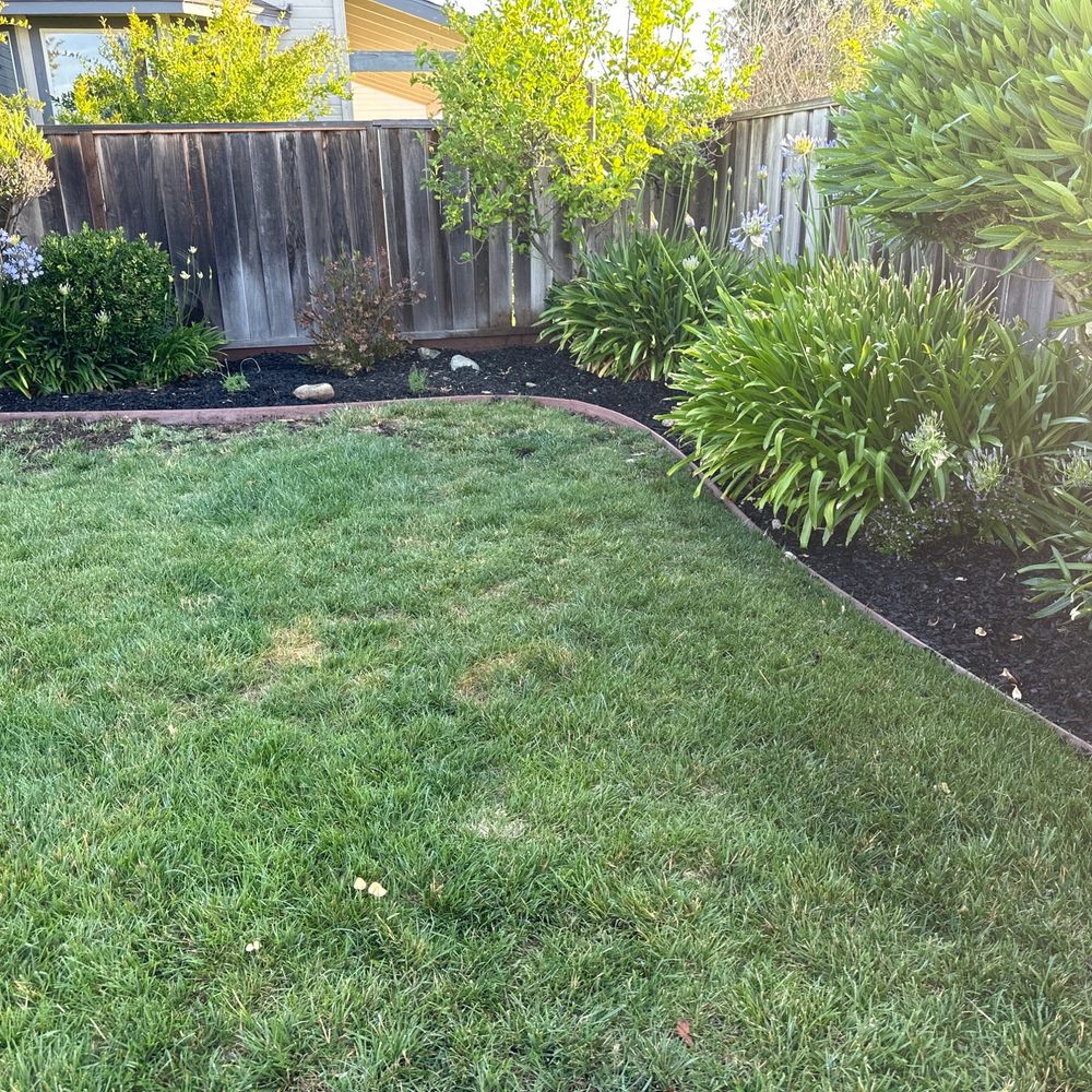 Action Landscaping - Planing, mulch, bender board, adjust sprinklers. - Landscaping Near Me - San Jose, California Action Landscaping - Planing, mulch, bender board, adjust sprinklers. - Landscaping Near Me - San Jose, California