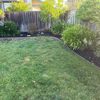 Action Landscaping - Planing, mulch, bender board, adjust sprinklers. - Landscaping Near Me - San Jose, California Action Landscaping - Planing, mulch, bender board, adjust sprinklers. - Landscaping Near Me - San Jose, California