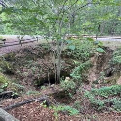 Santee State Park - Sinkhole