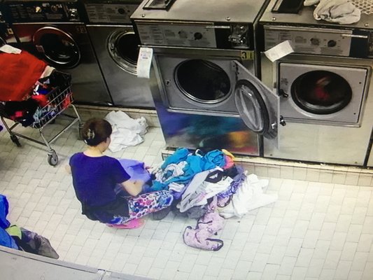 Waverly Wu Laundry