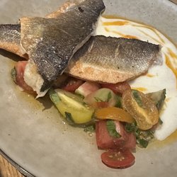 The New Haven - Fish of the Day - Sea Bass
