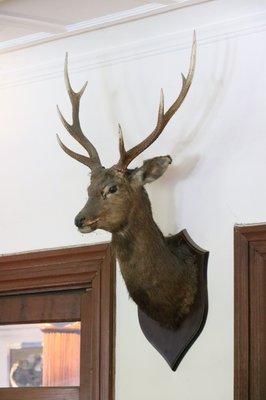 Nikko Kanaya Hotel by null