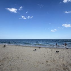 Town of Bethany Beach