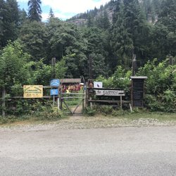 The Garden