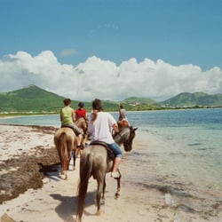 Seven Sea Journeys - A beach ride in St. Maarten