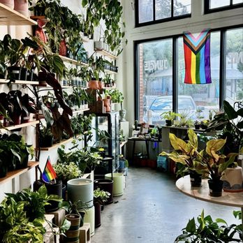 Plant Shoppe - Nurseries & Gardening Near Me - San Antonio, Texas Plant Shoppe - Nurseries & Gardening Near Me - San Antonio, Texas