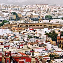 Plaza de Toros de la Maestranza - Arena (10/2026)