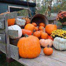 Pomeroy Farm - Great photo ops