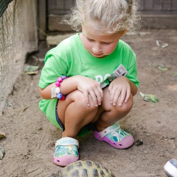 Lindgren School And Camp - A camper making friends with a tortoise in our nature department. - Elementary Schools Near Me - Closter, New Jersey Lindgren School And Camp - A camper making friends with a tortoise in our nature department. - Elementary Schools Near Me - Closter, New Jersey