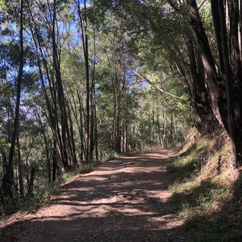 Joaquin Miller Park - Parks Near Me - Oakland, California