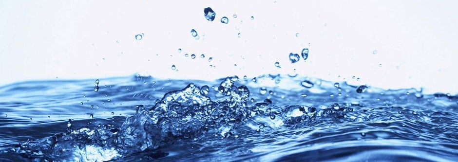 Slide of Rubber Duck Plumbing