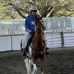 Lone Star Ranch & Rodeo