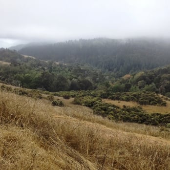 Monte Bello Open Space Preserve - Near the beginning of the hike. - Hiking Near Me - Palo Alto, California Monte Bello Open Space Preserve - Near the beginning of the hike. - Hiking Near Me - Palo Alto, California