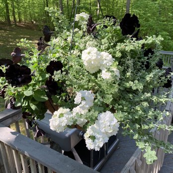 Merrifield Garden Center - Nurseries & Gardening Near Me - Gainesville, Virginia