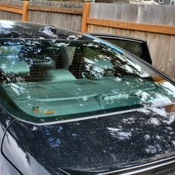Williams Auto Glass