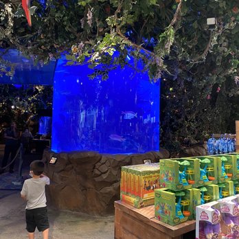 Rainforest Cafe - American Near Me - Sunrise, Florida Rainforest Cafe - American Near Me - Sunrise, Florida