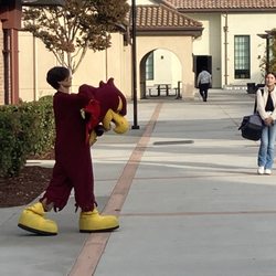 Fremont High School - FIREBIRD FELIPE UNMASKED