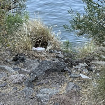 Saguaro Lake - You come to eat and have a good time take your crap with you home or don't come - Lakes Near Me - Mesa, Arizona Saguaro Lake - You come to eat and have a good time take your crap with you home or don't come - Lakes Near Me - Mesa, Arizona