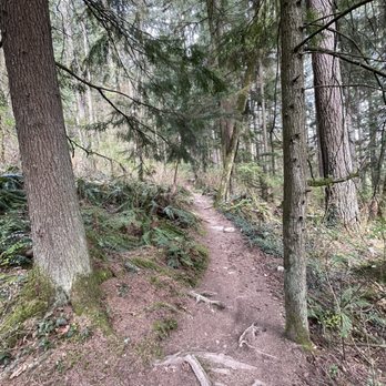 Burnaby Mountain Trail - Hiking Near Me - Burnaby, British Columbia