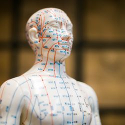 The Way - Acupuncture points or 'meridians' mapped on our anatomy model.