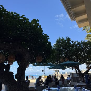 Hau Tree - Hau Tree dining - Seafood Near Me - Honolulu, Hawaii Hau Tree - Hau Tree dining - Seafood Near Me - Honolulu, Hawaii
