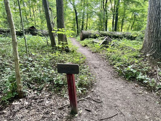 Overton Park by null