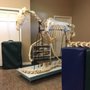Options For Animals