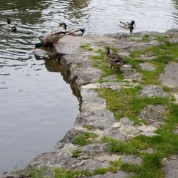 Rapoldi-Park