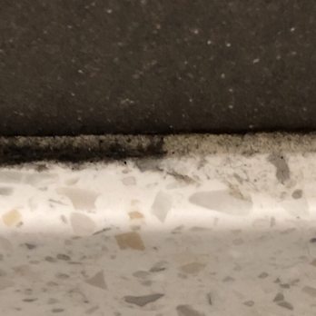 LA Fitness - Black mould! - Gyms Near Me - Toronto, Ontario