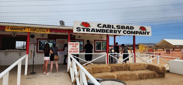 Carlsbad Strawberry Company by null