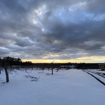 Fern Valley Farms - Winter Pruning - Venues & Event Spaces Near Me - Wilbraham, Massachusetts Fern Valley Farms - Winter Pruning - Venues & Event Spaces Near Me - Wilbraham, Massachusetts