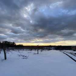 Fern Valley Farms - Winter Pruning