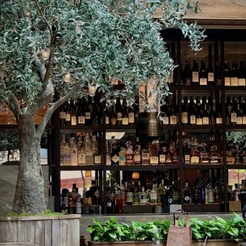 Aba - Mediterranean Near Me - Chicago, Illinois