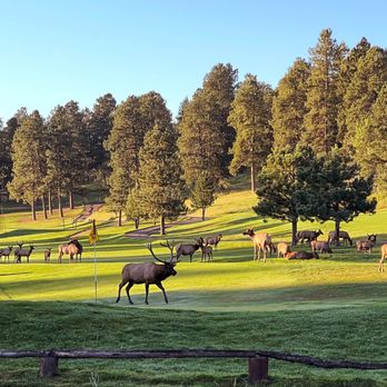 Evergreen Golf Course - Golf Near Me - Evergreen, Colorado Evergreen Golf Course - Golf Near Me - Evergreen, Colorado