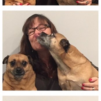 Cuts and Cuddles Dog Spa - Pet Groomers Near Me - Cambridge, Ontario Cuts and Cuddles Dog Spa - Pet Groomers Near Me - Cambridge, Ontario